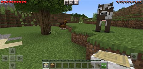 bacchikoi apk android|Descargá APK Minecraft 1.20: un link GRATIS de la última .
